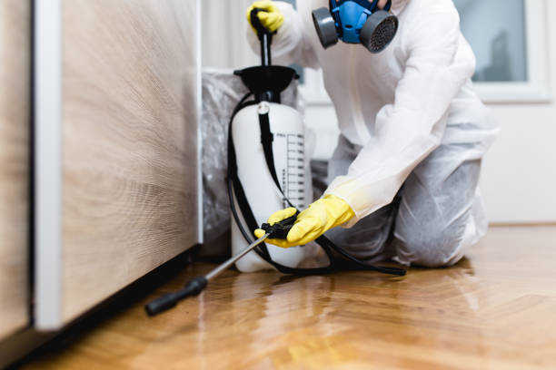 Pest Control for Restaurants in West Lake Hills, TX