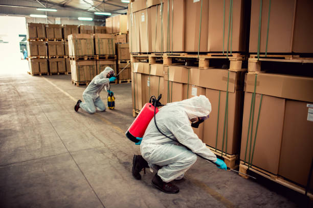 Best Residential Pest Control  in West Lake Hills, TX