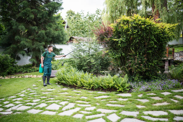 Best Affordable Pest Control Services  in West Lake Hills, TX