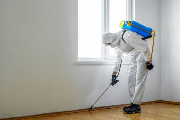 Best Pest Control Near Me in West Lake Hills, TX