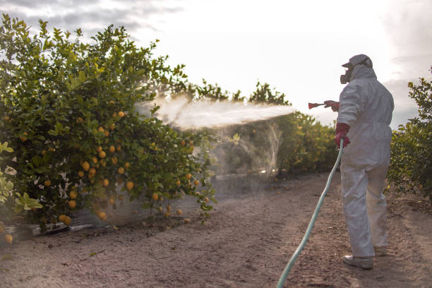 Best Pest Prevention Services  in West Lake Hills, TX