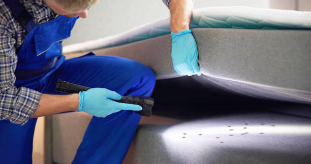 Best Mosquito Control Services  in West Lake Hills, TX