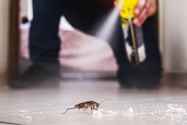Best Pest Prevention Services  in West Lake Hills, TX