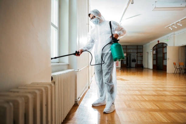 Reliable West Lake Hills, TX Pest Control Solutions