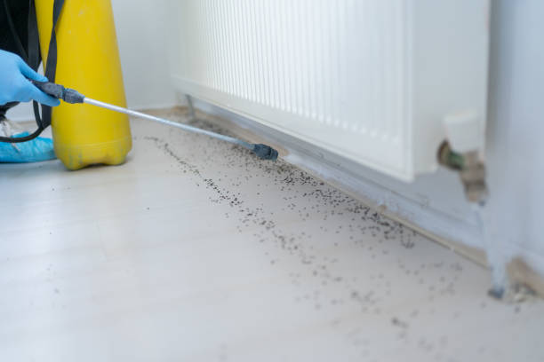 Best Bed Bug Extermination  in West Lake Hills, TX